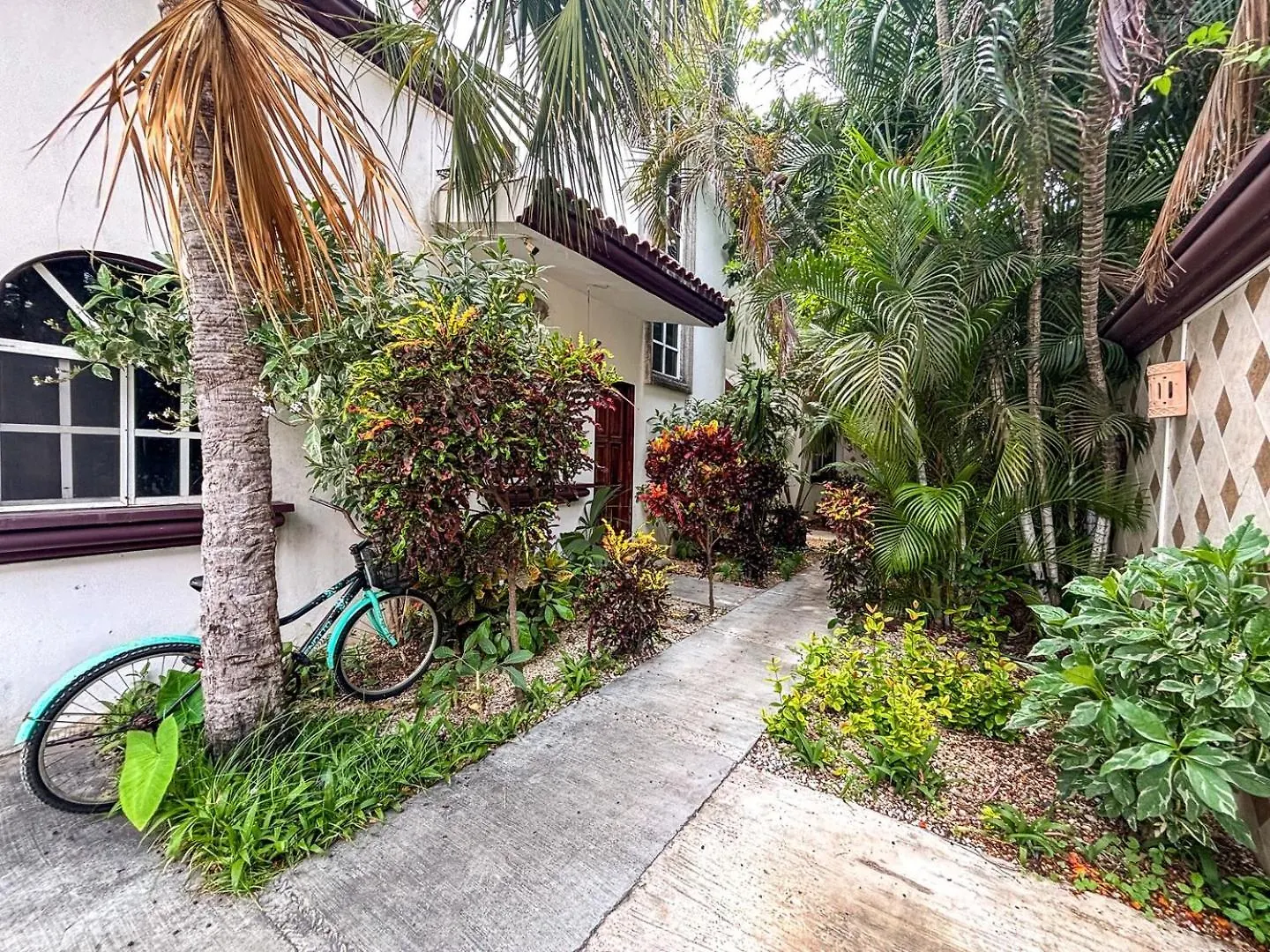 Cozy Stay Near 5Th Ave And Beach بلايا ديل كارمن شقة