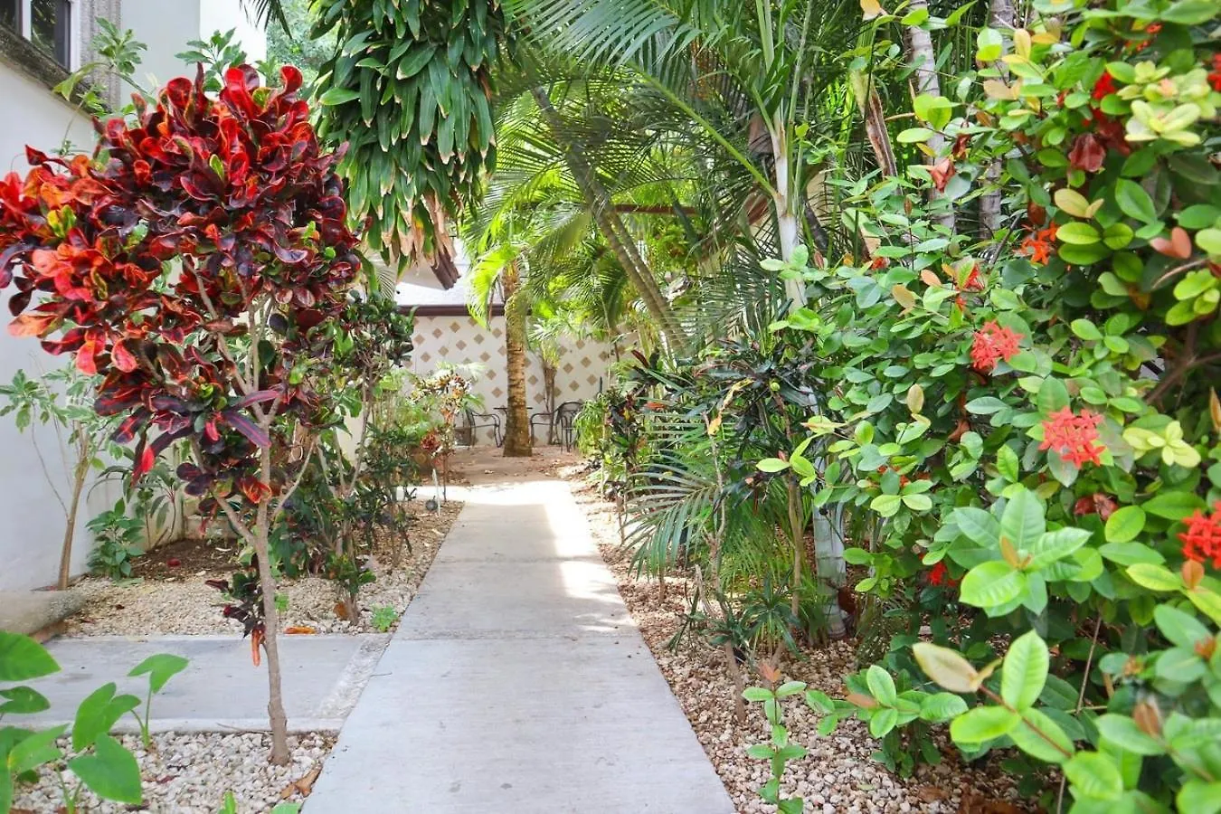 Cozy Stay Near 5Th Ave And Beach Playa del Carmen Apartment